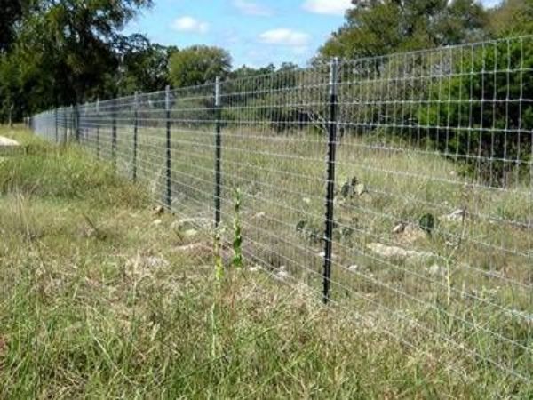 12 T-stupova s ​​klinovima za držanje ograde od žičane mreže