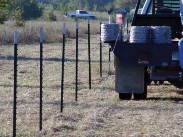 16 Nabijany słupek T z drutem kolczastym