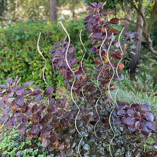 5 つる性植物サポート