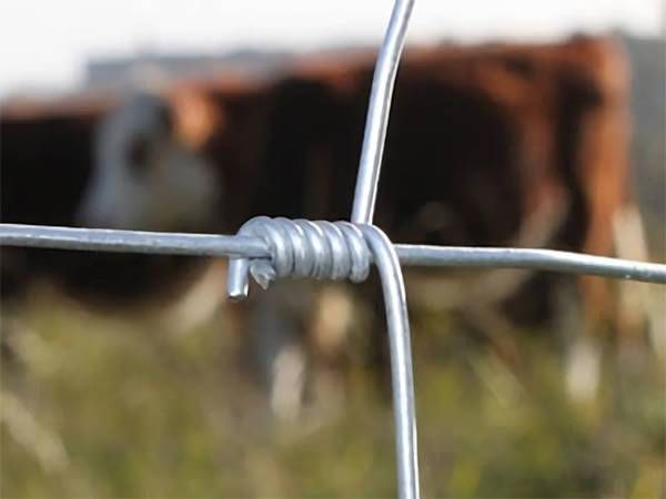 Field Fence