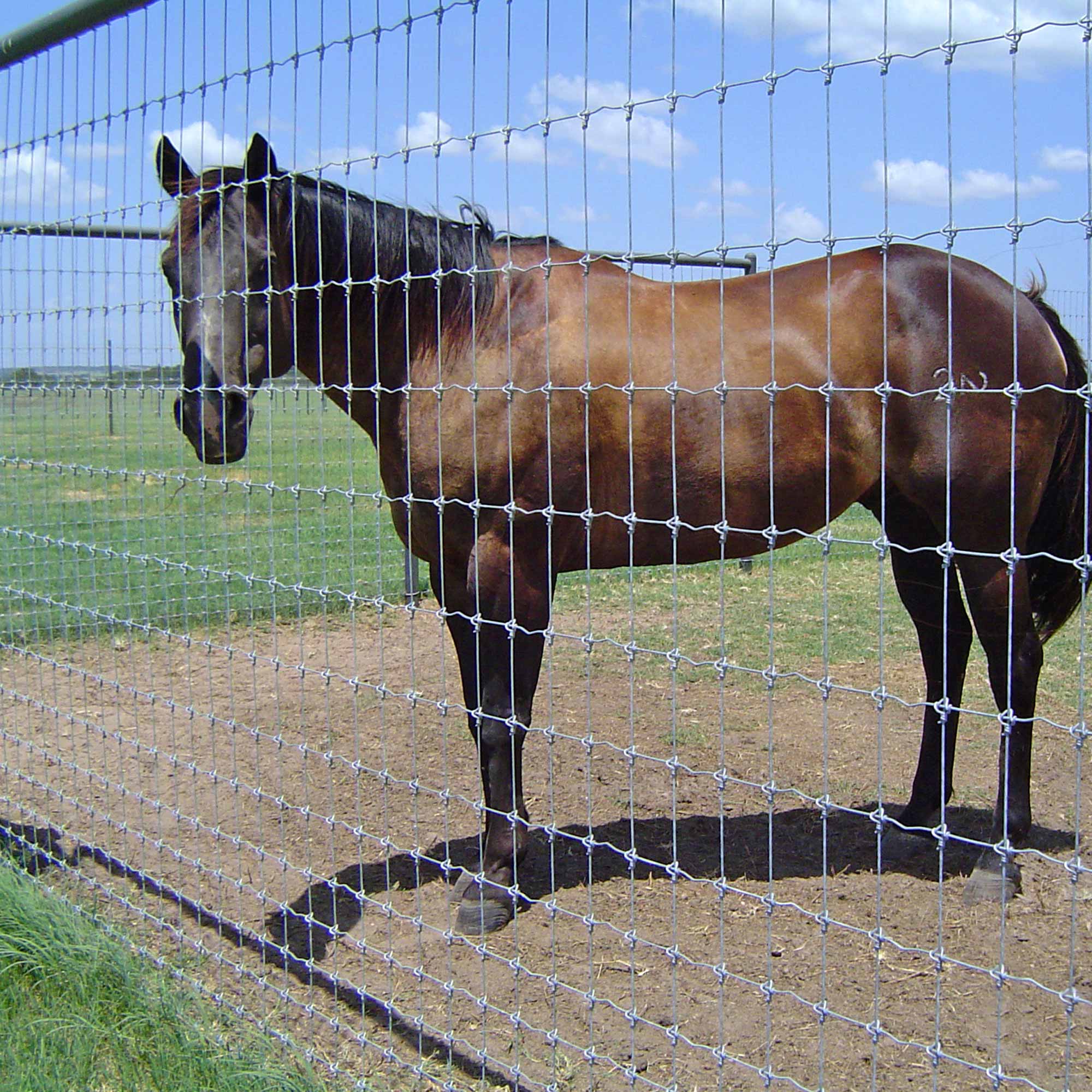 O segundo tipo de Galvanized Friend Fence é uma espécie de Nó Fixo (1)