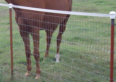 Den tredje typen av fältstängsel är No climb horse staket (1)