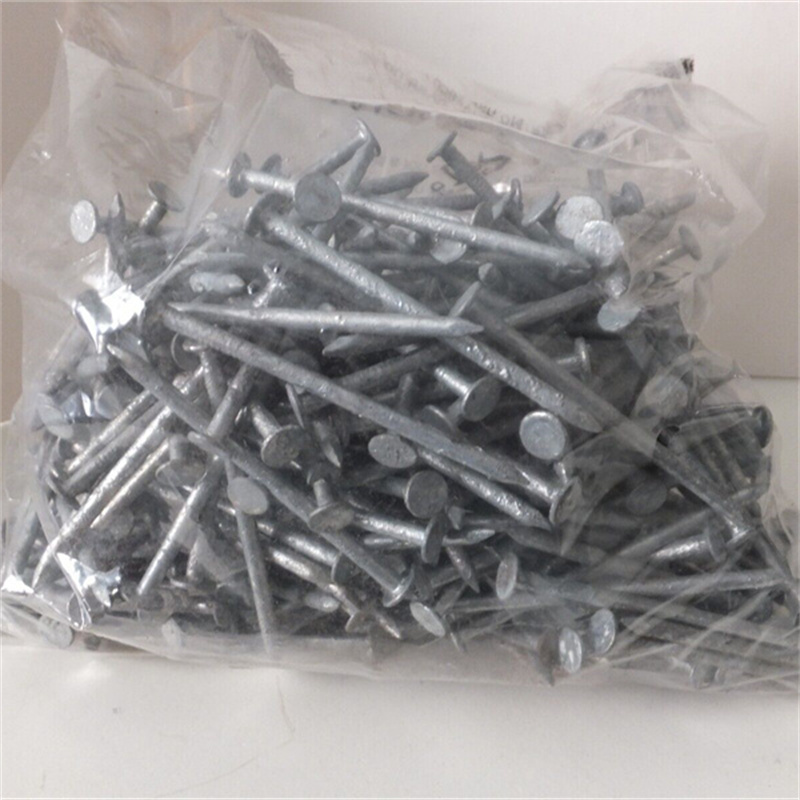 21 common nails plastic bag packed