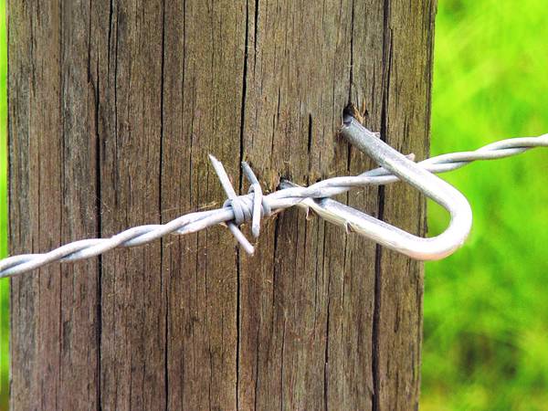22 u-nails-barbed-wire