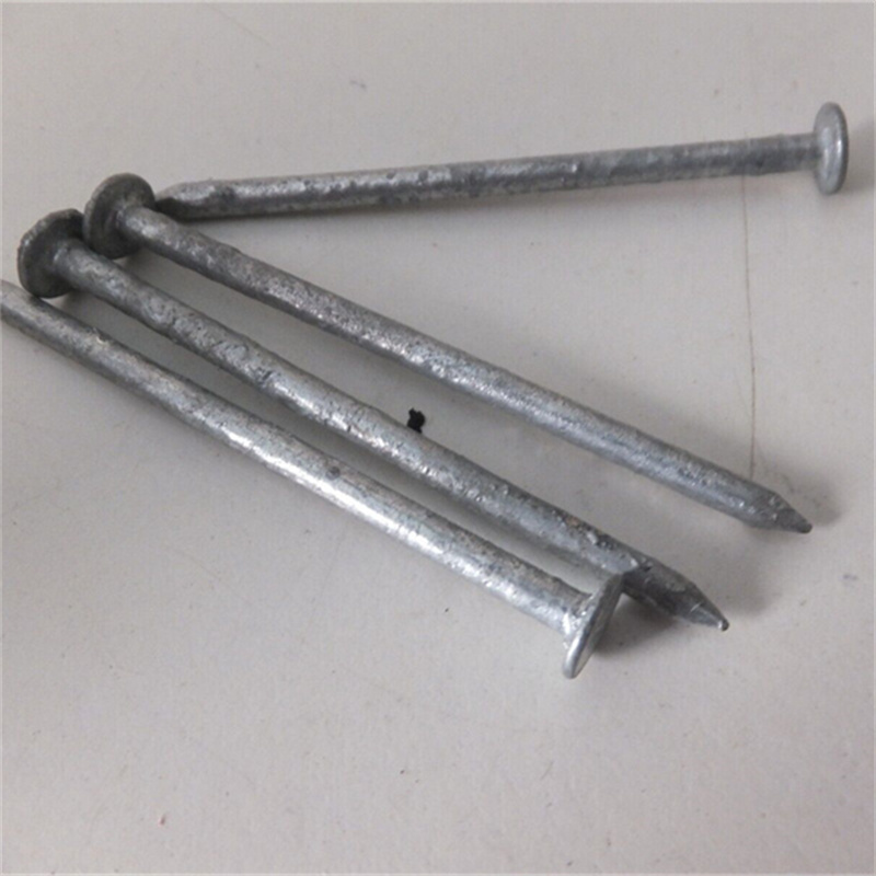 Common Nails mechanical galv