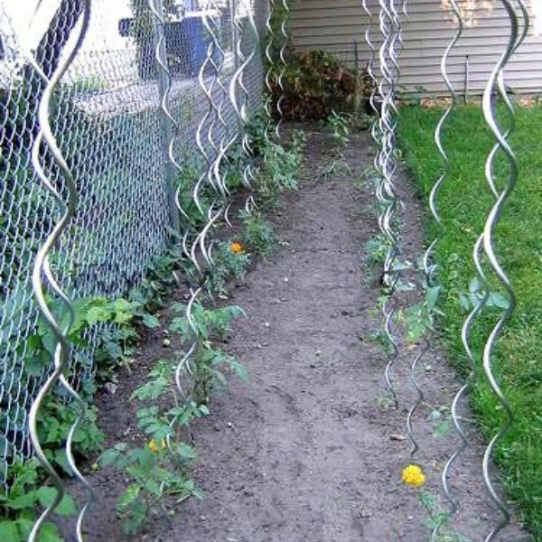 7 spiral_plant_stakes_tomato_stakes_climbing_plant_suppot