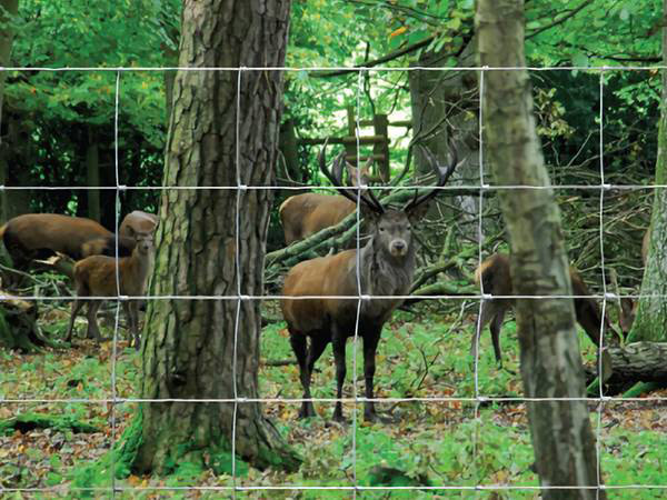 hinge joint fence wild deer