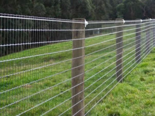 no-climb-horse-fence-forest